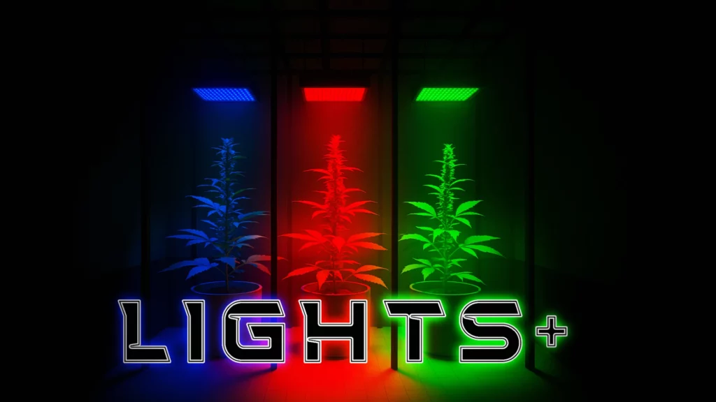 LightsPlus