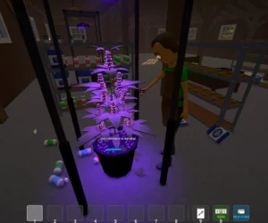 Absorbent Soil3 Absorbent Soil3