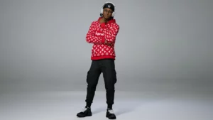 Louis Vuitton Supreme Hoodies5