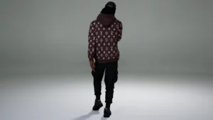 Louis Vuitton Supreme Hoodies7