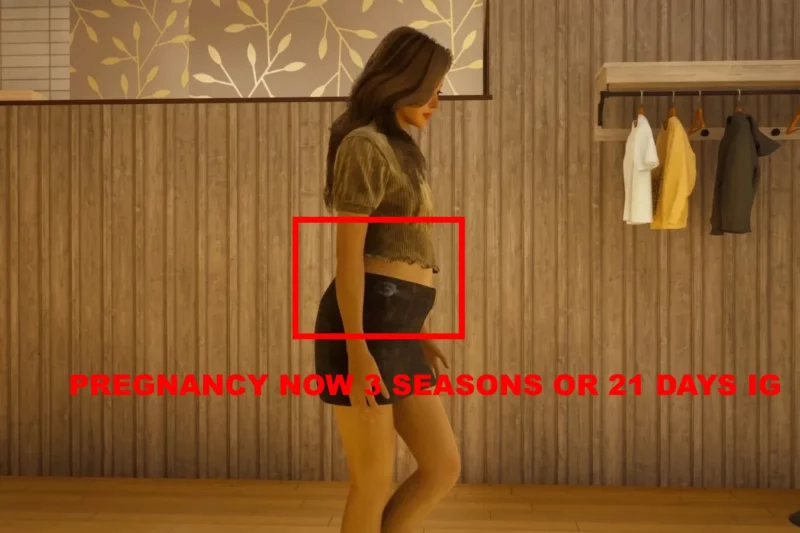 Yoco Timer Pregnancy 3 Saisons V1.0