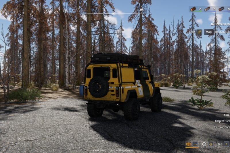 A drive through the forest to some awesome tunes