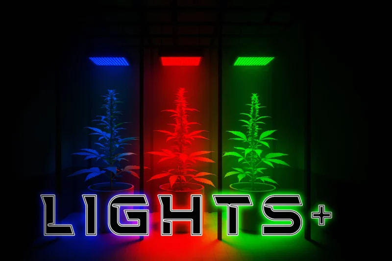 LightsPlus V1.0.4